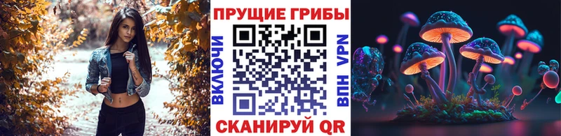Галлюциногенные грибы Cubensis  Каменск-Уральский 