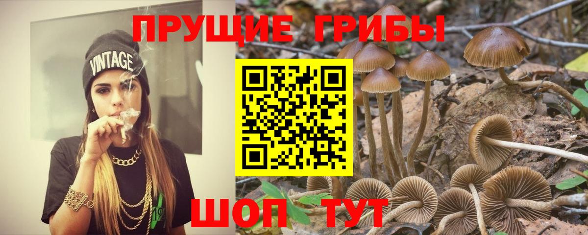 Галлюциногенные грибы ЛСД Каменск-Уральский